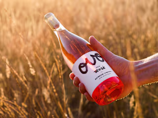 OVO Rosé Brand Identity and Packaging Design