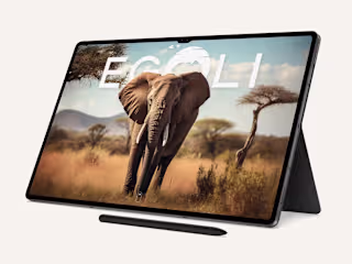 Egoli Tours | Website Redesign Case Study ✨