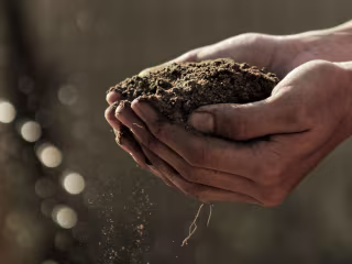 Farming Field App (Mobile & web B2B)