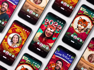 Year of the Tiger Video Filters :: Behance