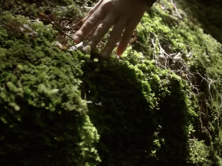 Creative 10 min brand film for a company's mission 