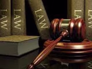 Assistant of Law professor 