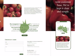Website Redesign & Development For Fresh Food