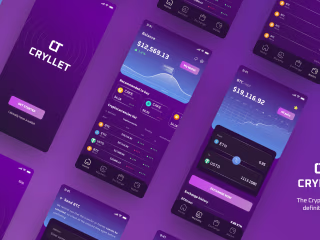 UI UX Design - Crypto Currency app - Case of Study