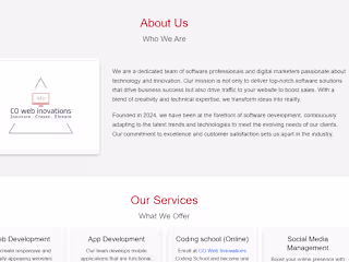Software Agency website.
