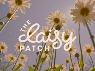 The Daisy Patch - Brand Design