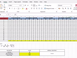 Data analyst