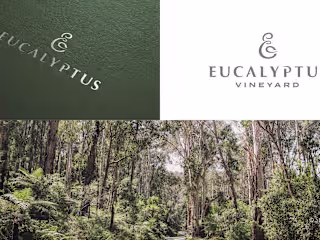 Eucalyptus Vineyard