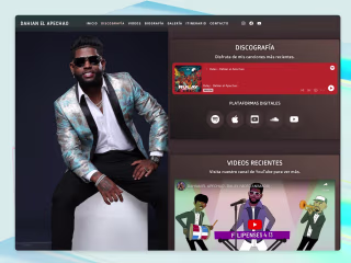 WEB DESIGN WEBFLOW - ARTIST