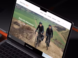 BESV's E-commerce Transformation: Accelerating Towards Success