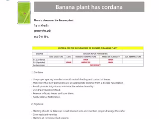 Detecting Disease in Plant using ANN and CNN models in Python