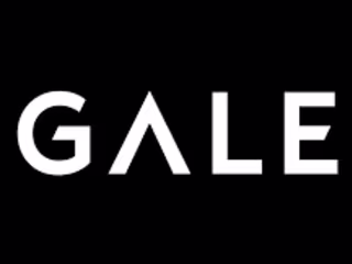 Senior Project Manager at GALE partners
