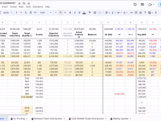 Google Sheets Expert