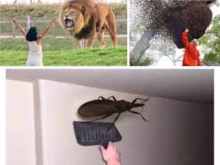 Creative Photo Manipulation and Realistic Thumbnail Design