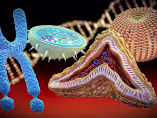 3D Assets Collection: Organs & Molecules