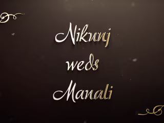Wedding Highlights