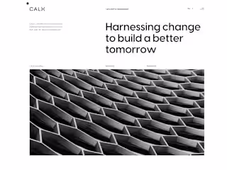 Bespoke Frontend Development & WordPress Integration for CALX