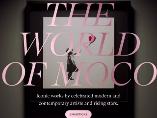 The world of Moco