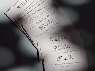 Seilear Brand Identity
