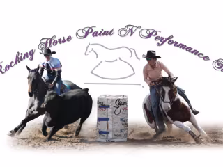 Equine Clinician | Horsemanship with Lisa Sutton