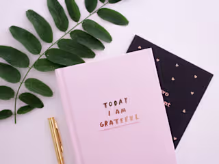 Sales page copy - gratitude journal