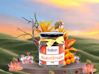 Product Display for Website