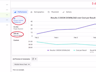 Meta Ads Management 