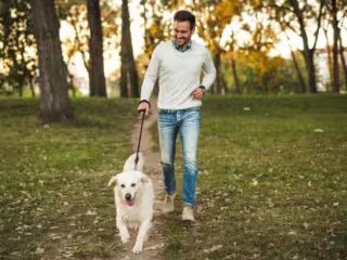 Content Writing for Petcare Blog 