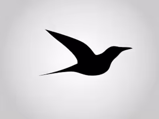 
Soaring Minimalism