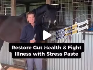 Stress Paste Advertisement