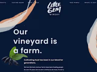 Little Gem Winery Conversion Rate Optimization