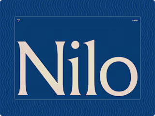 Typography