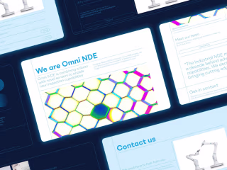 Omni NDE Case Study | What IF Web