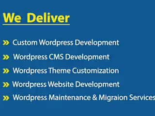 Custom WordPress Website