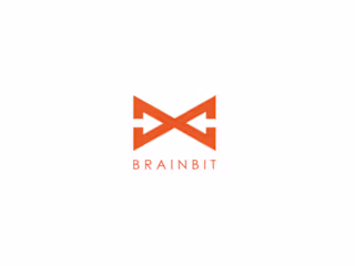 Logo design for Brainbit. https://brainbit.com/