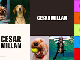 Cesar Millan Rebrand