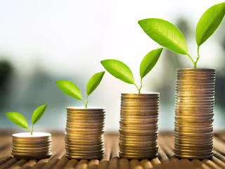 Investment fund contracts proofreading 