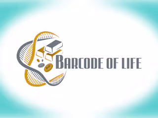 Branding and Logo Design Project 