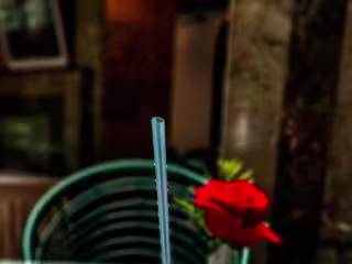  “Roses are red...
Beat Root are too 🌹”