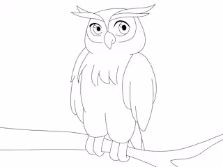 Owl Animation