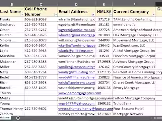 Extensive Excel Data Entry and Web research tasks