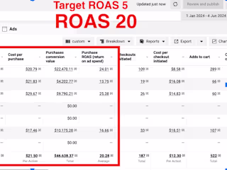 Proven 20+ ROAS in 2024: Your Go-To eCommerce Strategist