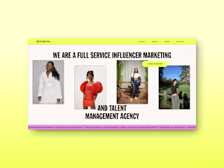 CC Digital Influencer Marketing: WordPress Development