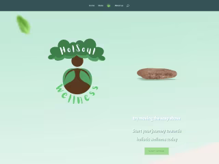 holsoulwellness | Health & Wellness Products