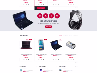 Web Development
