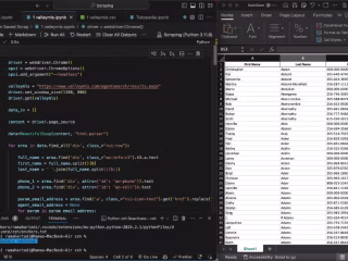 Web Scraping: Extracting Data from Client's Chosen Website
