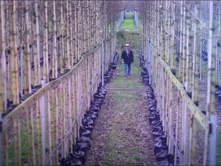 Video Reel  - Loic Rathscheck - YouTube