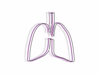 The Lung Wellness Clinic