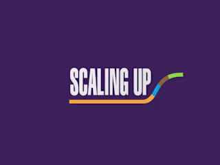 Project Manager | Scaling Up