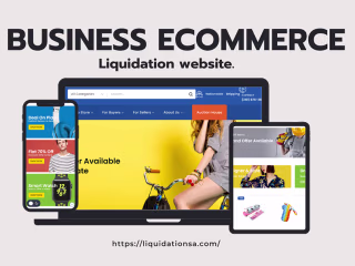 Ecommerce and liquidation website.
